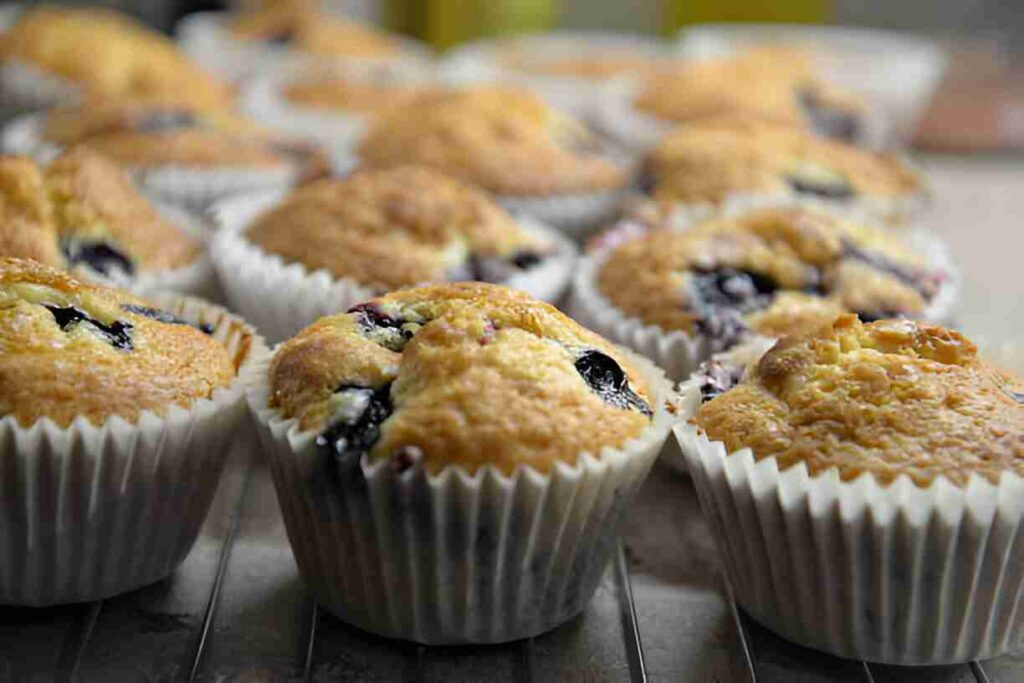 Lemon Blueberry Muffins