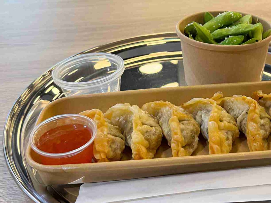 Crispy Vegetable Dumplings