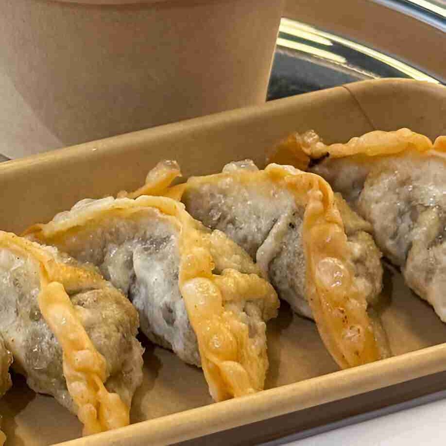 Crispy Vegetable Dumplings