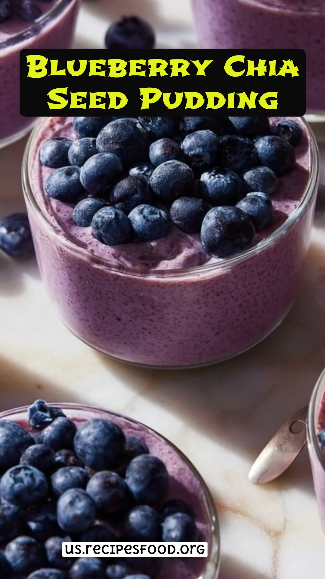 Blueberry Chia Seed Pudding
