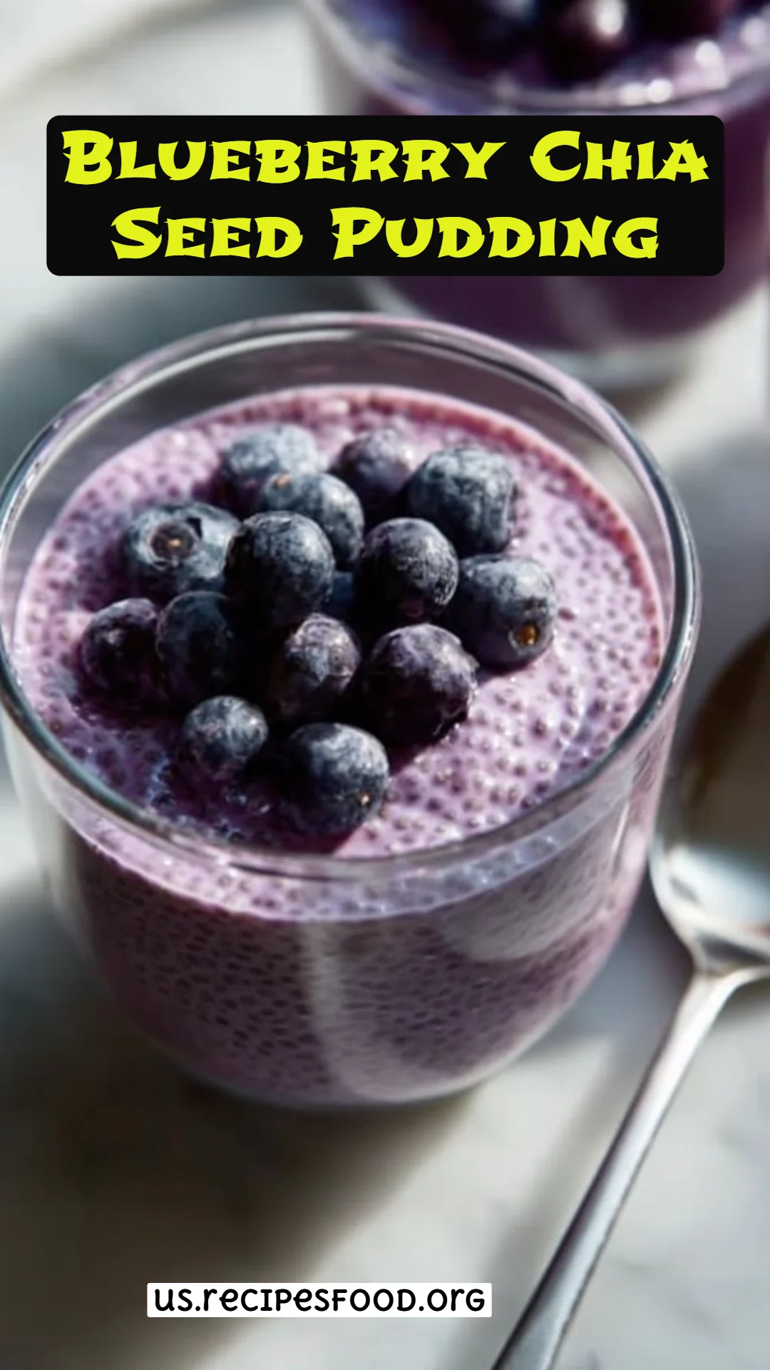 Blueberry Chia Seed Pudding