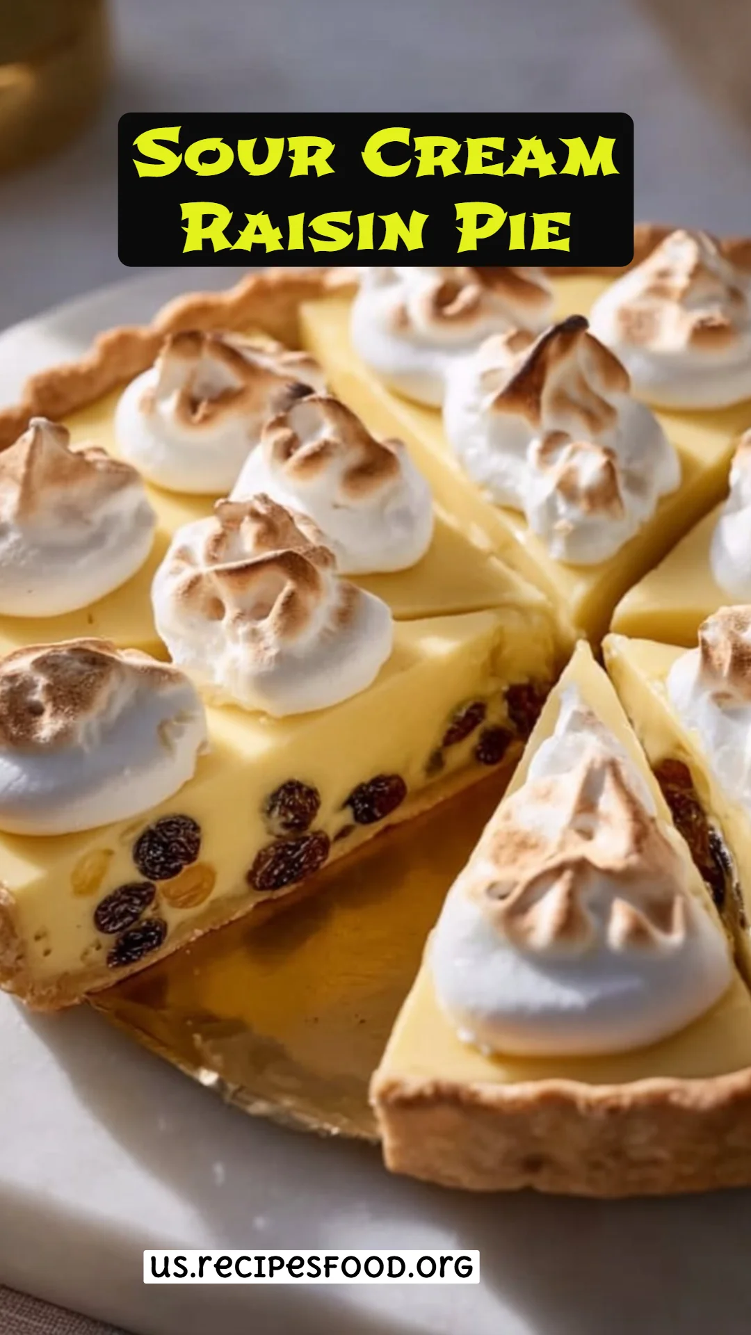 Sour Cream Raisin Pie
