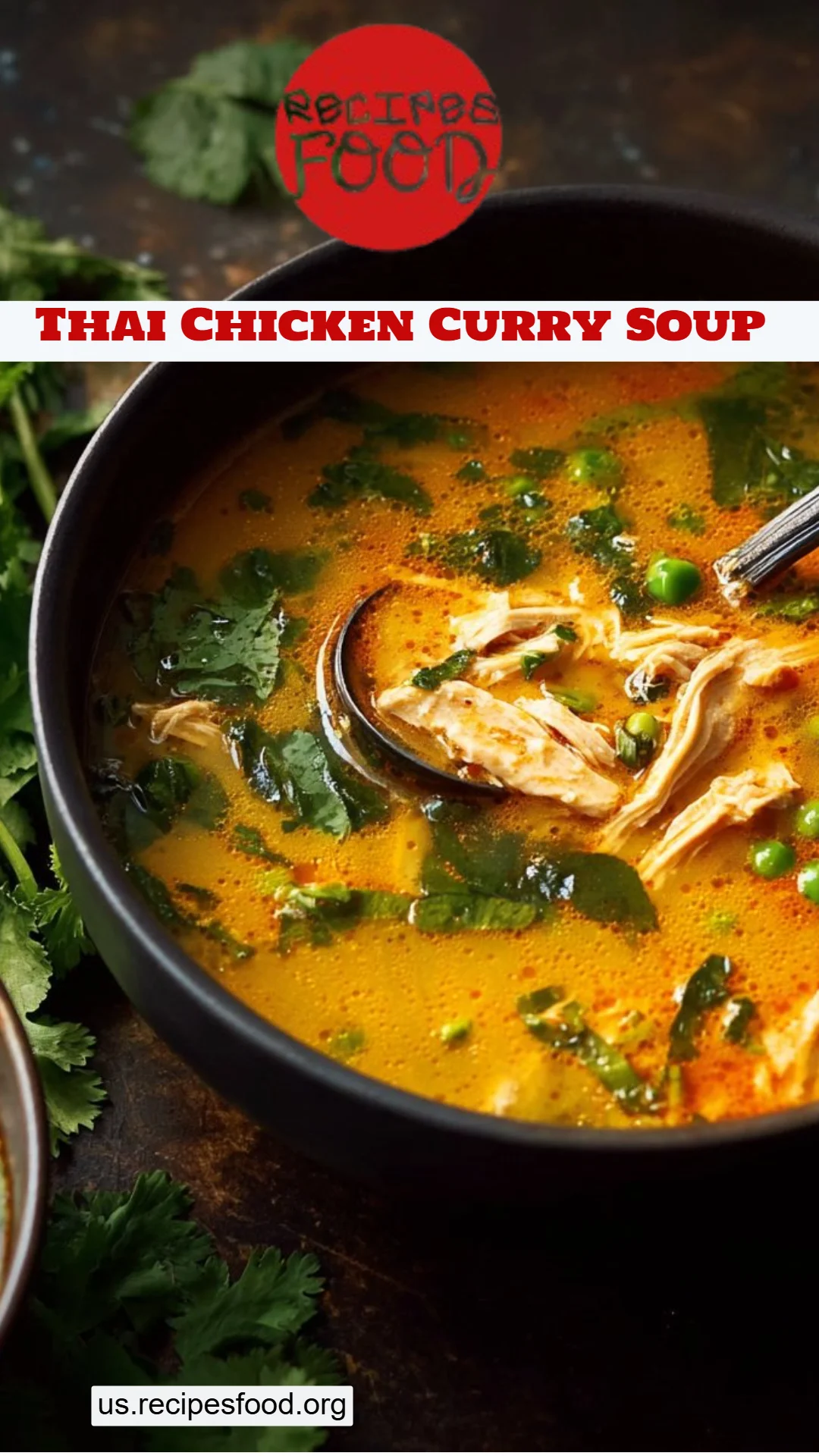 Thai Chicken Curry Soup